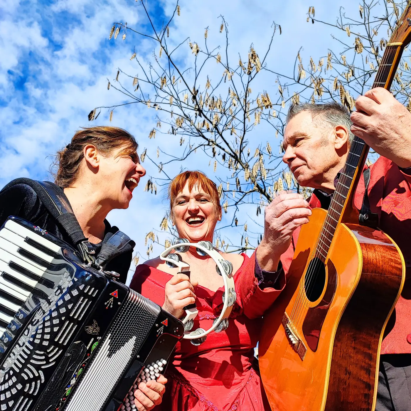 Accordéon, tambourin et guitare sous les branches, ciel bleu